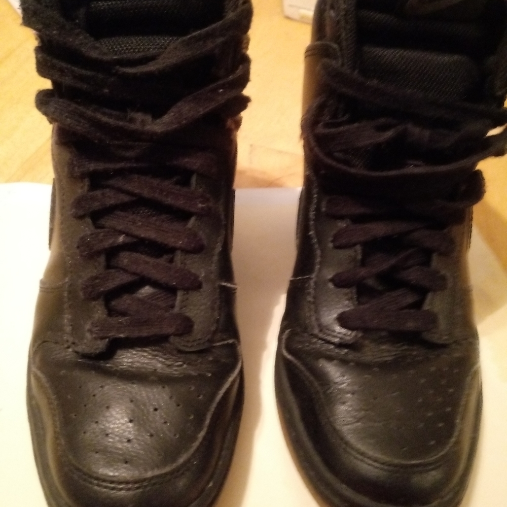 WMNS Dunk Sky Hi Essential

Size7.5